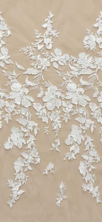 chuanglian-202601-3-50