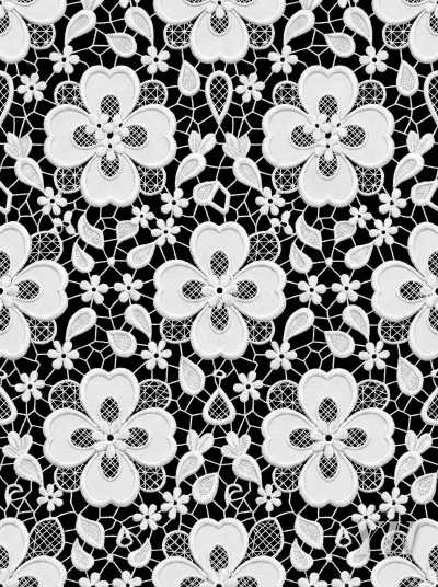 shizhuang-202602-4-093